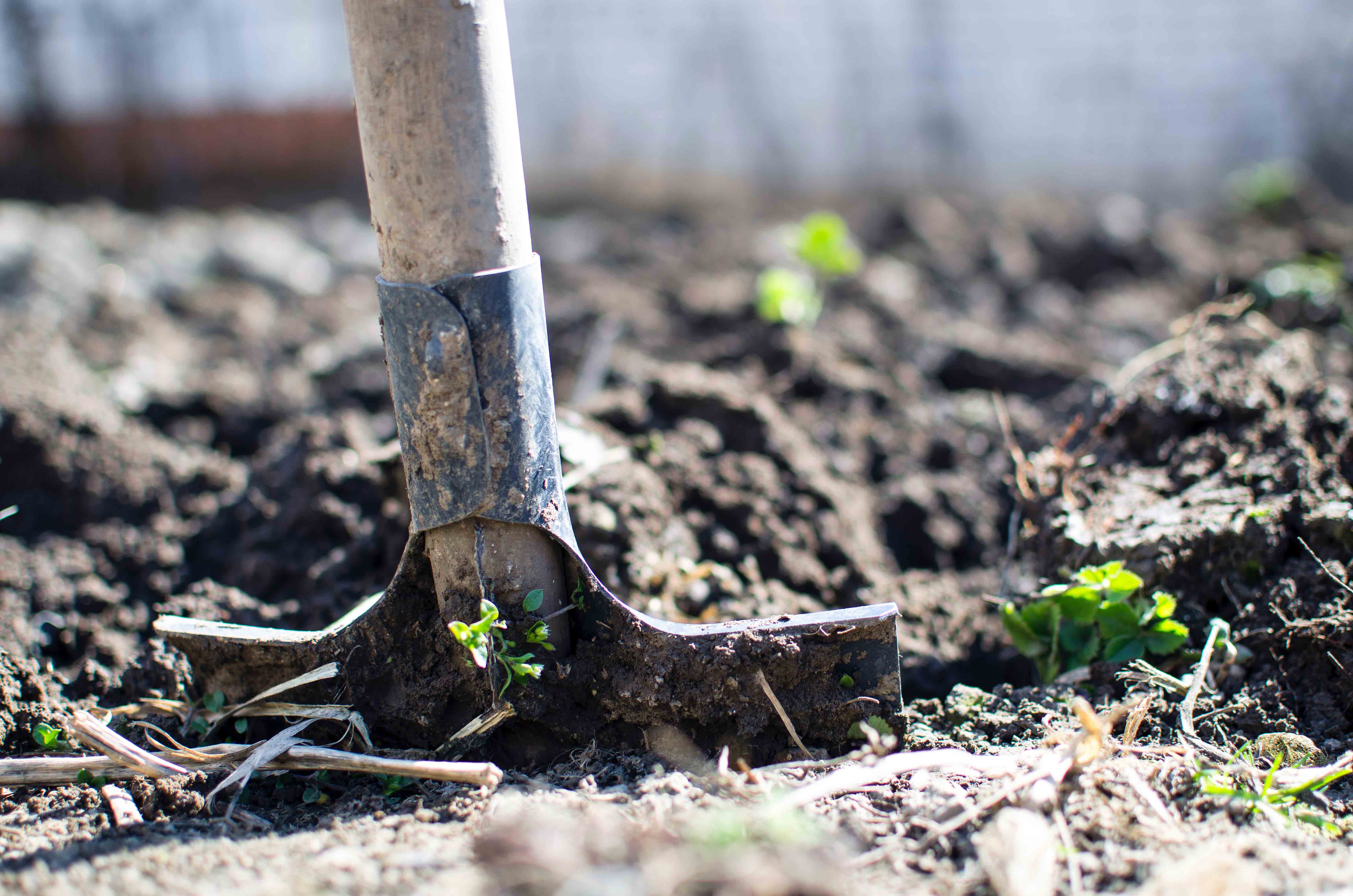 agricultural shovel in the ground